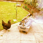 Ken looking at the BBQ thinking "Tucky is that you?!"